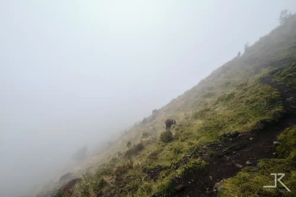 cantal puy mary aout 2022 julien rabier